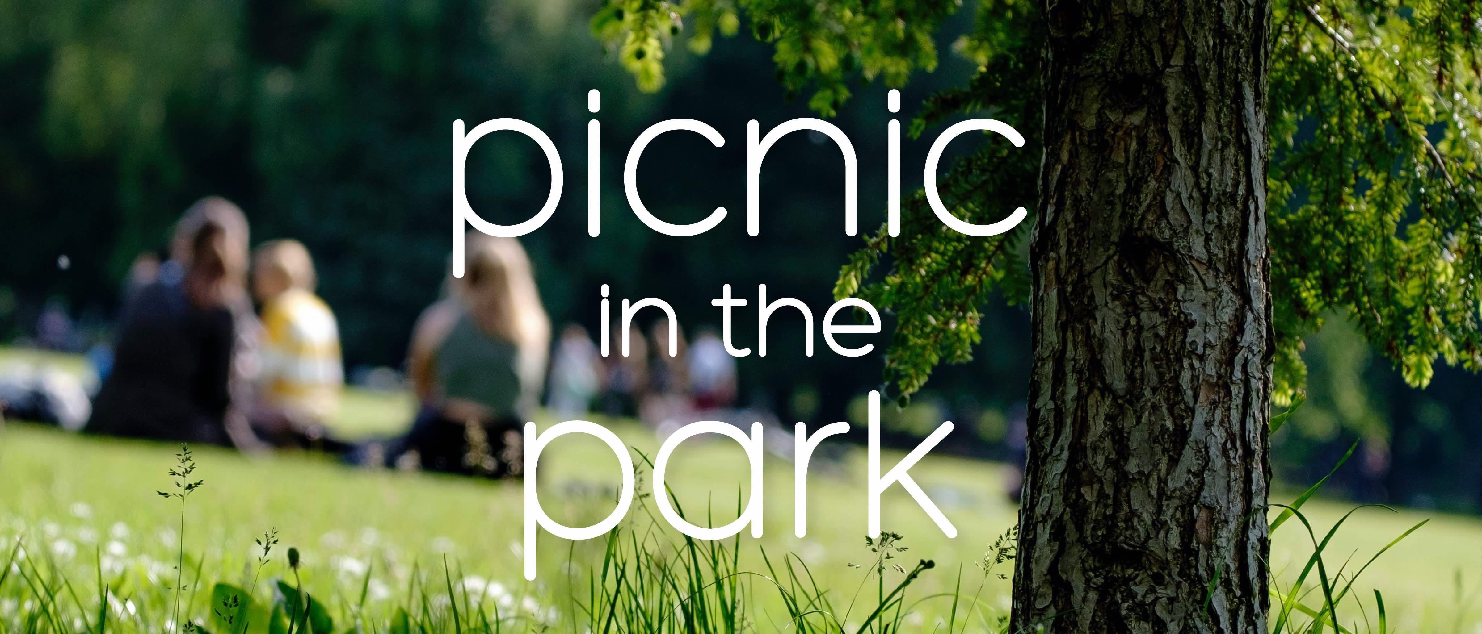 Picnic in the Park 2021 Banner